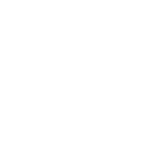 Wordpress logo